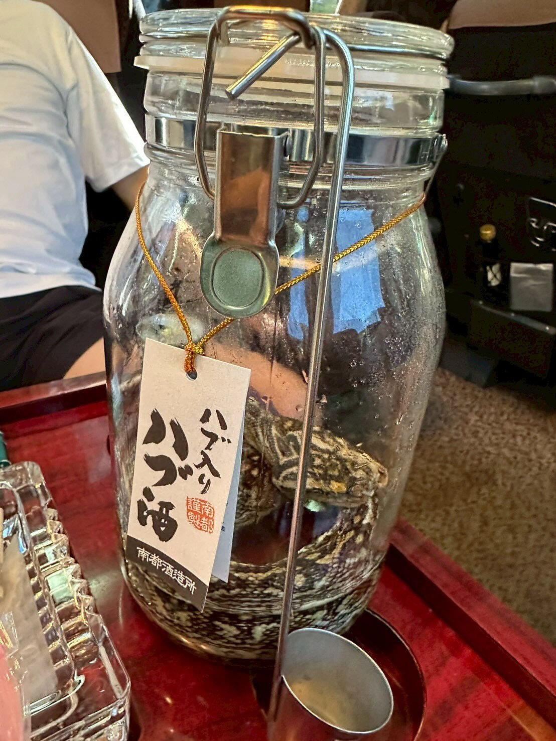 今年もスタッフと共にリフレッシュするために恒例の慰安旅行に出
